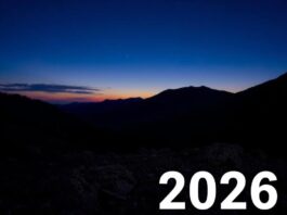 Телефоны 2026: что действительно важно и почему это вам пригодится